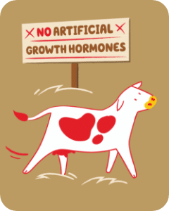 Illustration of a cow with a sign "no artificial growth hormones"