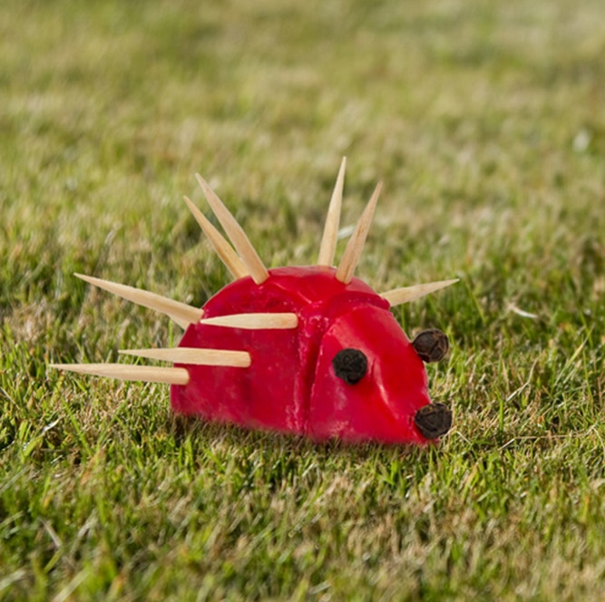 Porcupine made with red Babybel wax and wood sticks